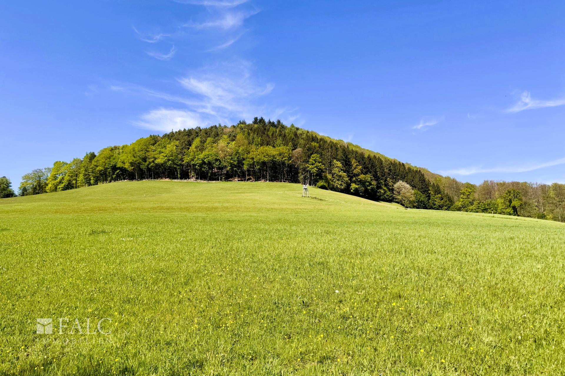 Ausblick hinter Grundstück